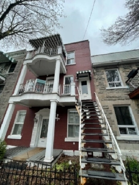 Chambre à louer Plateau Montréal. Juin-Juillet Image# 1