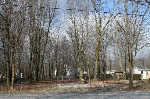 Terrain à vendre, Lyster