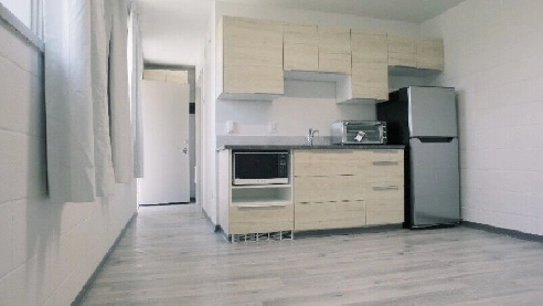 Renovated Bachelor Suite Ready For Rent in Yorkton Image# 3