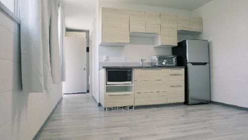 Renovated Bachelor Suite Ready For Rent in Yorkton Image# 1
