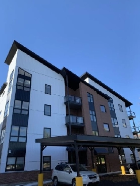 Executive 2 BDRM Located Downtown - 230 Regent St Image# 1