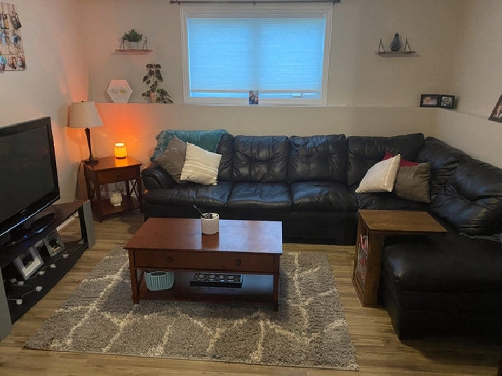bright, spacious 2 bedroom apartment for rent in corner brook,nl - apartments & condos for rent