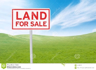 Building lot for sale. Image# 1