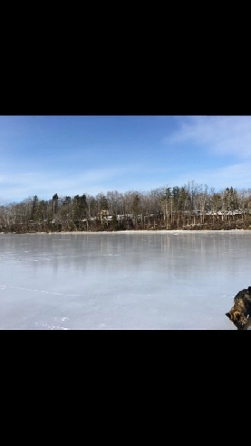 Terrain à vendre bord de l’eau Image# 1
