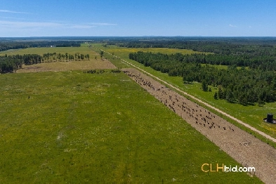 Land For Sale Niton Junction AB Image# 1