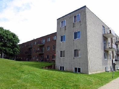 Ingersoll One Bedroom Apartment- Heat Included - for Rent Image# 1