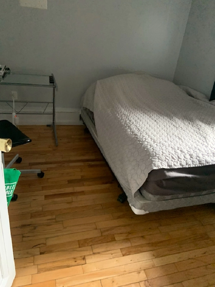 bright room on quinpool rd & aug 1 to sept 1st only in city of halifax,ns - room rentals & roommates