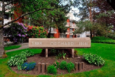 Large 1 bedroom suite | Orchard Inn (Burnaby) Image# 1