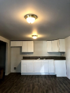 1 bedroom. FULLY renovated. Heat and lights included. Laundry. Image# 1