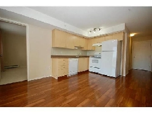 Util Incl. Axxess Condo!  w/ underground parking avail Sept 1 Image# 1