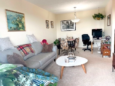 1 Bedroom Apartment - 585 River Avenue Image# 1