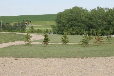 Beautiful Acreage just 2KM to Town of Cochrane Image# 1