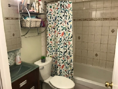 Golden Triangle One bedroom Image# 1