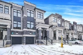 43 Armillo Pl Image# 1