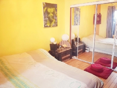 Chambre à Louer dans Rosemont Petite Patrie Image# 1