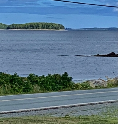 Land in the south shore Nova Scotia - For sale - 12 acres Image# 1