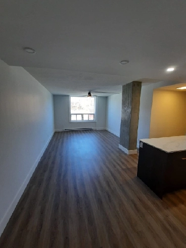 3644 Dutch Village Rd 2 Bed 1 Bath Bright & Cozy 1795 Sept1/Oct1 Image# 1