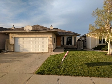 Westside 1 Bedroom Walkout Basement Suite - $975/mo Image# 1