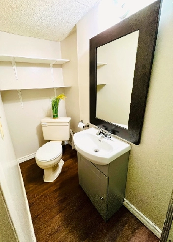 One bed one bath basement suite available for rent Image# 2