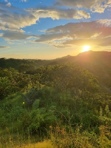 Land for Sale in a beautiful Costa Rica. Great for hotel project Image# 1