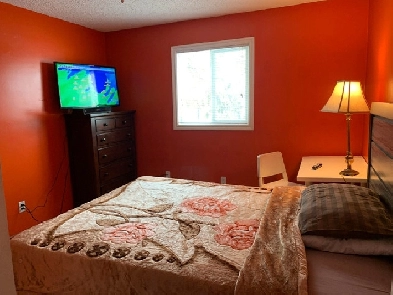 Furnished, Move-in Ready Room Image# 1