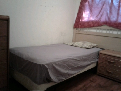 ROOM FOR MALE VACANT FURN  PH 4036677854 Image# 1