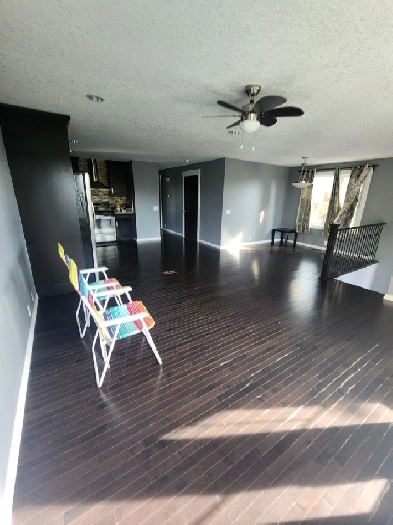 5 bedrooms House for rent