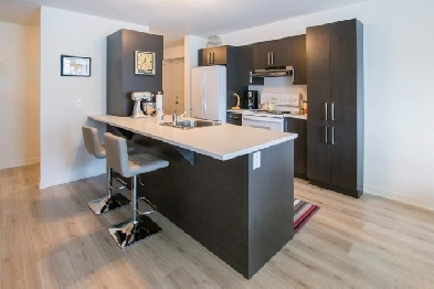 Appartement 4 1/2 - St-Jérôme - 1er novembre 2022 Image# 1