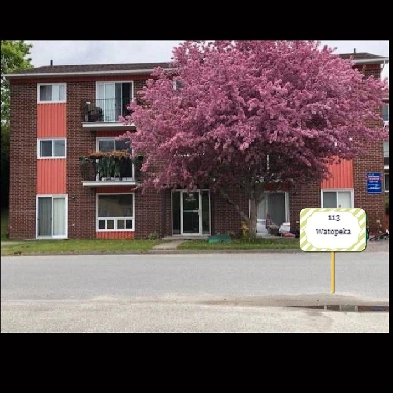 GRAND 4 1/2 À LOUER WINDSOR Image# 1