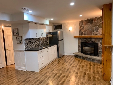 Newly Renovated Spacious Basement Apartment for Rent, Newmarket Image# 1
