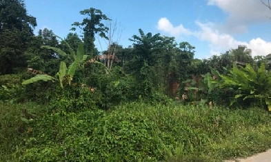Land for sale by lot approved in Trinidad  near piarco airport Image# 1