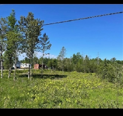 LAND FOR SALE - 3 HRS FROM TORONTO - KILLALAO Image# 1
