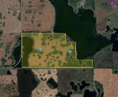For Rent 246 Acre Grain Land in RM of Kellross NO 247 Image# 1