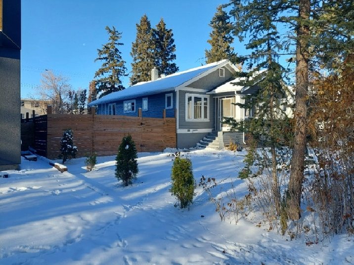Single Family House For Rent In Inglewood / Central in Edmonton,AB - Apartments & Condos for Rent