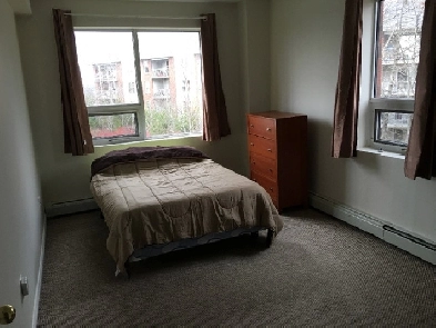 Furnished room in Clayton Park available Image# 1