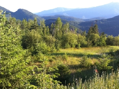 Off Grid 160 acres near Nelway BC Image# 1