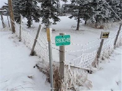 20 Acres  ( /-) Land with House for Sale near Calgary NE Image# 1