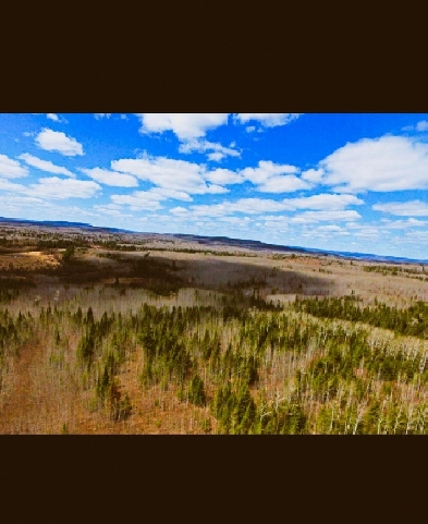 46 ACRE BUILDING LOT FOR SALE - THUNDER BAY - $109,000 Image# 1