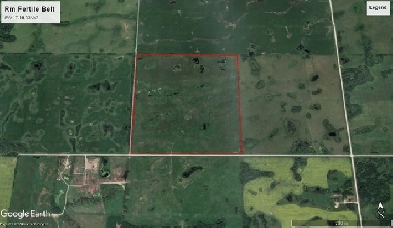 Rm Fertile Belt 160.63 Acres Grain Land for Sale Image# 1