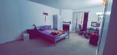 One entire living room available from the month of December