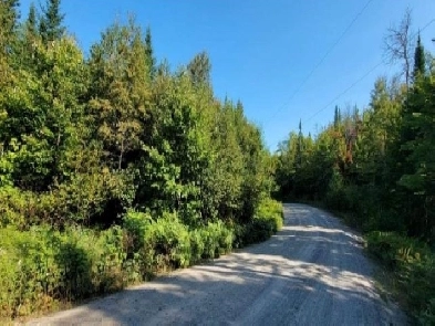 Terrain à vendre- Chemin du Domaine-des-Sentiers, Chertsey Image# 1