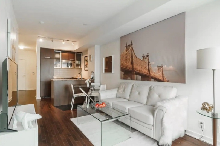 Fully Furnished - 2 bed 1 bath - Downtown in City of Toronto,ON - Apartments & Condos for Rent