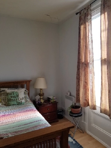 Large furnished room downtown Charlottetown near Holland College Image# 1