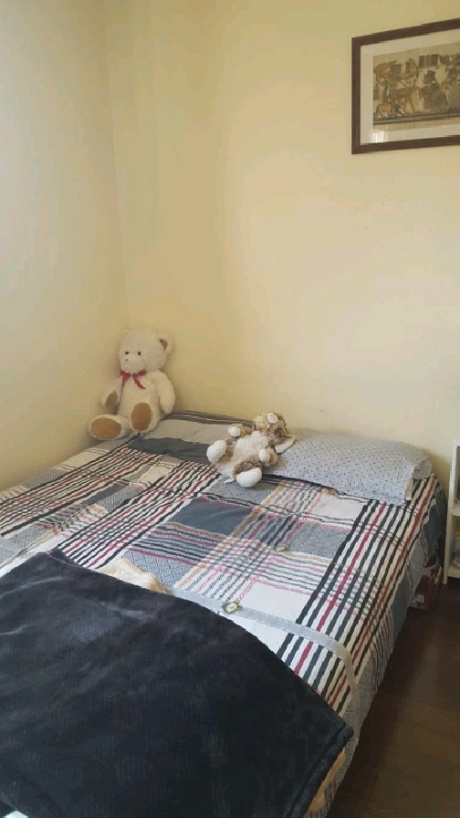 Single room upstairs in a house sharing with family for a girl in Edmonton,AB - Room Rentals & Roommates