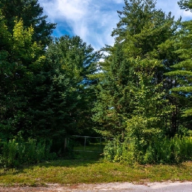 1 acre building lot Image# 1