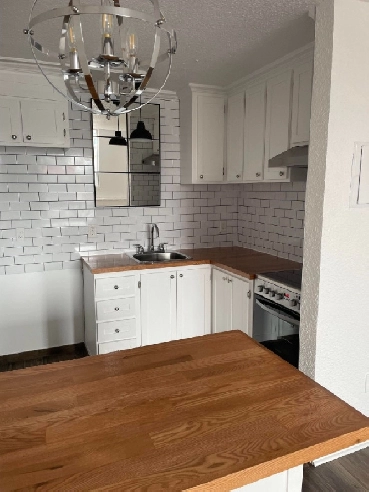 Large renovated bachelor. Great South End location