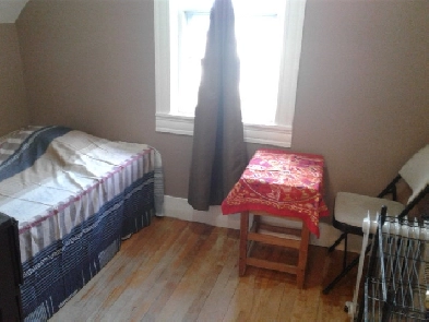 One Big Room is for rent in Fredericton Image# 1