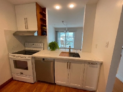 2 BED, 2 BATH APARTMENT FOR RENT DANFORTH & PAPE
