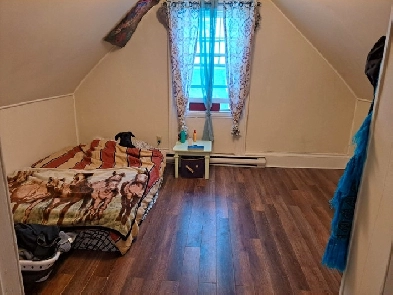 ANIMAL FRIENDLY Room for Rent DOWNTOWN FREDERICTON ASAP Image# 1