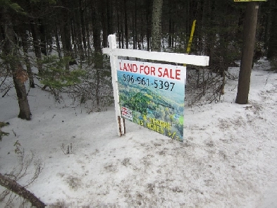 Land For Sale Image# 1